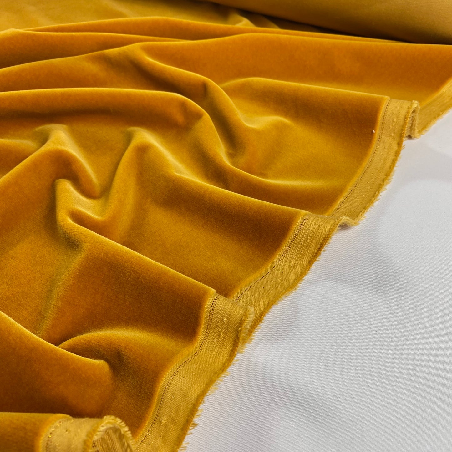 100% cotton velvet in golden yellow