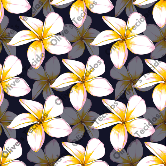 Watermelons pattern with green background