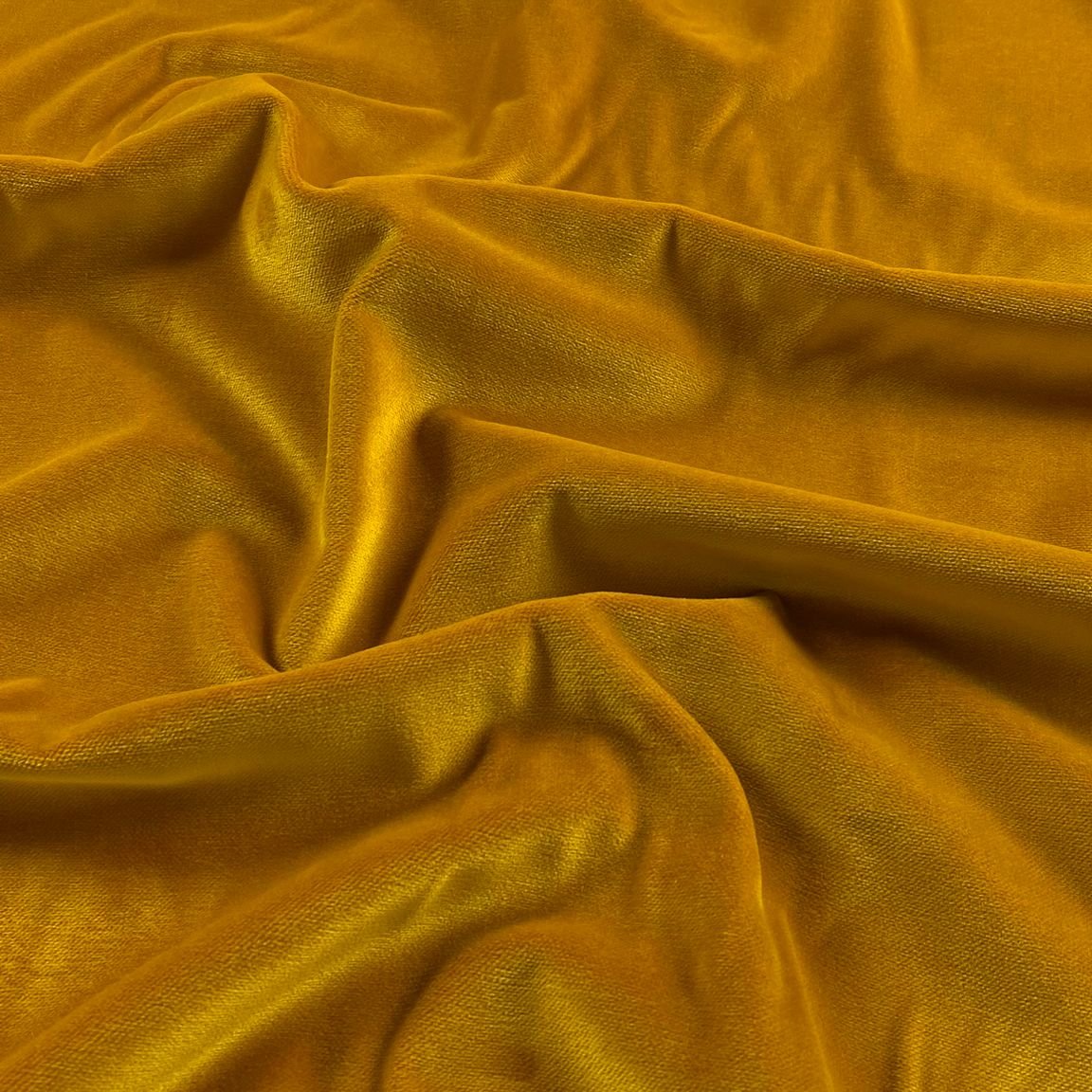 Golden velvet